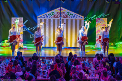 ZFV Prinzengarde - Zellingen