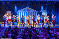 ZFV Prinzengarde - Zellingen