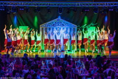 ZFV Prinzengarde - Zellingen