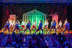 ZFV Prinzengarde - Zellingen