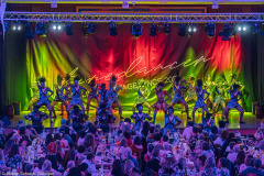 Dance Society - Alzey