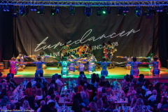 Dance Society - Alzey