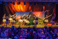 Schoppegranaten - Löschenrod