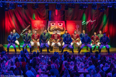 Turedancer - Zellingen