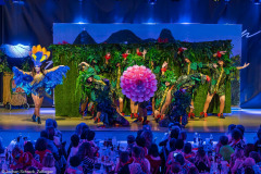 HCV Showtanzgruppe - Homburg