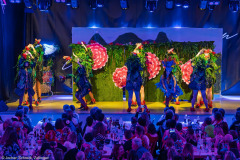 HCV Showtanzgruppe - Homburg