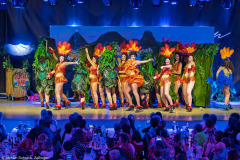 HCV Showtanzgruppe - Homburg