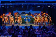 HCV Showtanzgruppe - Homburg