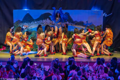 HCV Showtanzgruppe - Homburg