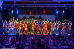 HCV Showtanzgruppe - Homburg