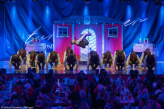 Gentlemen - Wiesentheid