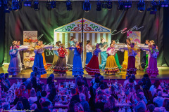 ZFV Prinzengarde - Zellingen