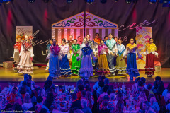 ZFV Prinzengarde - Zellingen