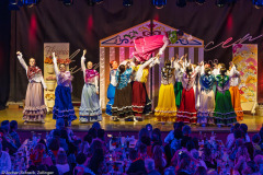 ZFV Prinzengarde - Zellingen