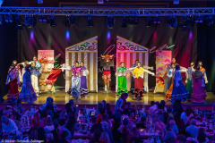 ZFV Prinzengarde - Zellingen