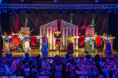 ZFV Prinzengarde - Zellingen