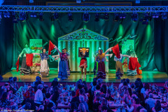 ZFV Prinzengarde - Zellingen