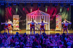 ZFV Prinzengarde - Zellingen