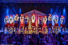 ZFV Prinzengarde - Zellingen