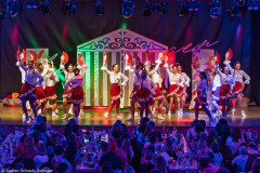 ZFV Prinzengarde - Zellingen