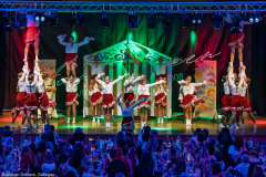 ZFV Prinzengarde - Zellingen