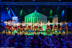 ZFV Prinzengarde - Zellingen