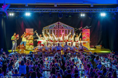 ZFV Prinzengarde - Zellingen