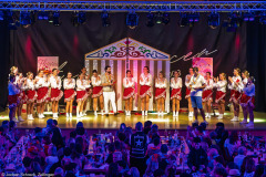 ZFV Prinzengarde - Zellingen