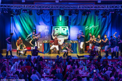 Turedancer - Zellingen