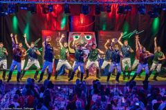 Turedancer - Zellingen