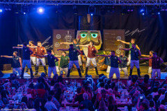 Turedancer - Zellingen