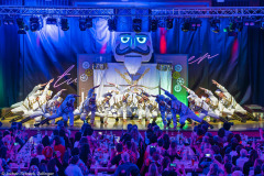 Turedancer - Zellingen